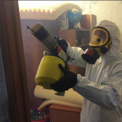 Уничтожение клопов в квартире. Красавино